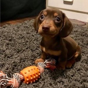 Meet your Posher, Joaquin